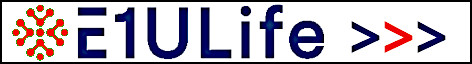 Featured Business: E1ULife AI Solutions